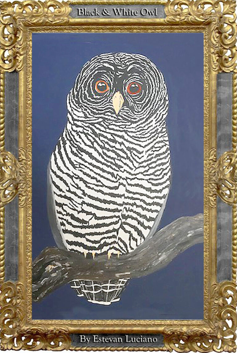 Read more about the article Black & White Owl by Estevan Luciano, 24×36, Oil on Camvas