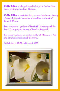 Read more about the article Calla Lilies by Edward Weson