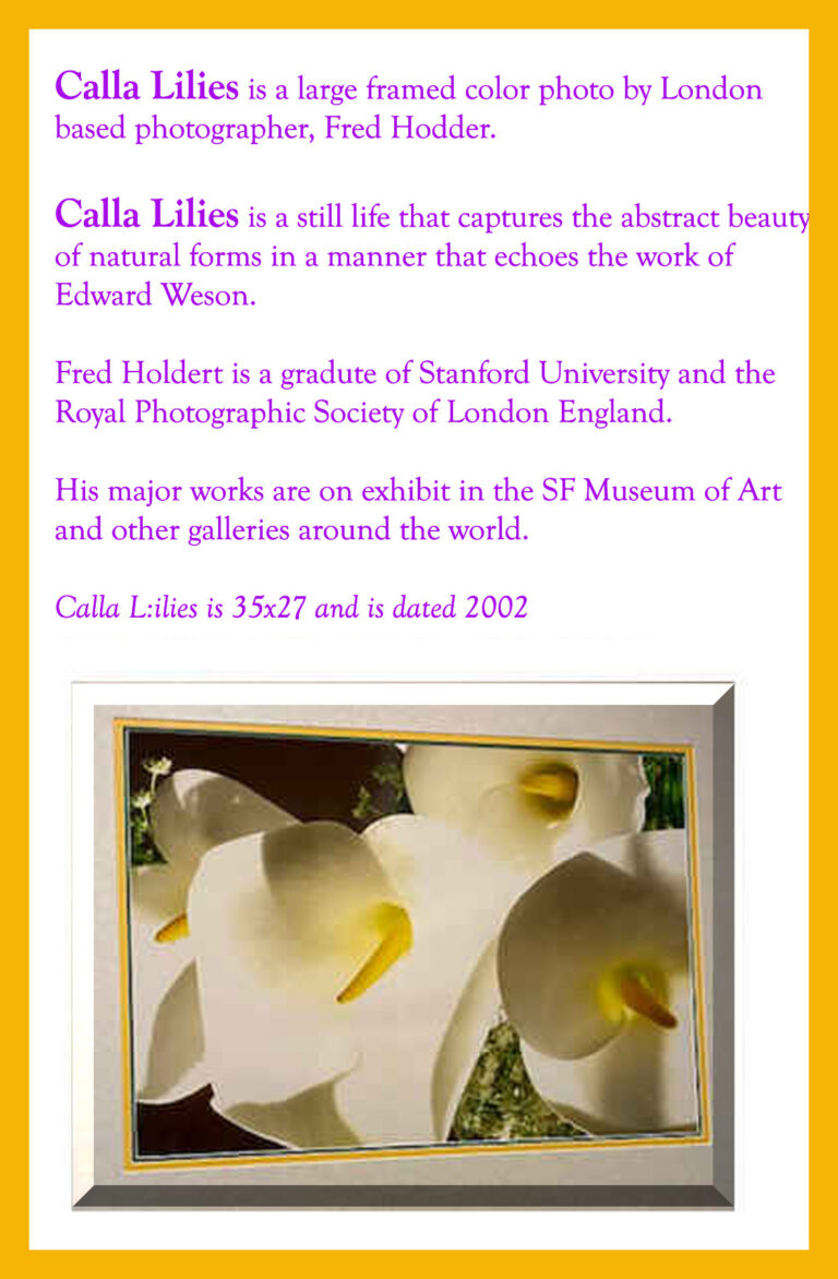 Read more about the article Calla Lilies by Edward Weson