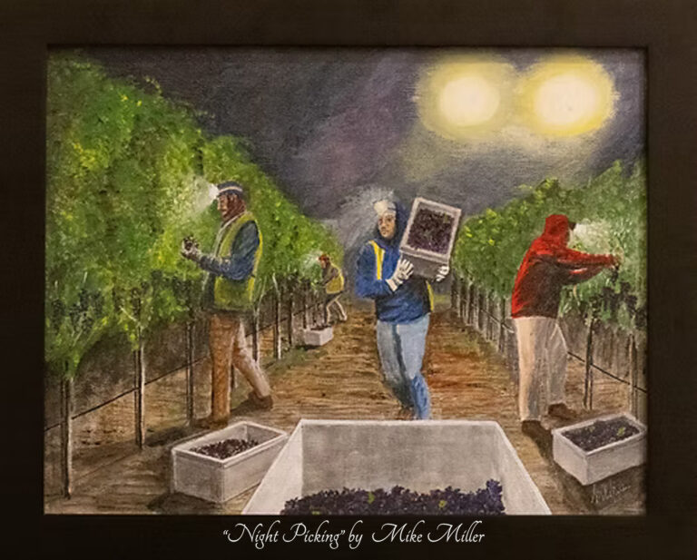 Read more about the article Night Picking by Mike Miller, Oil on Canvas