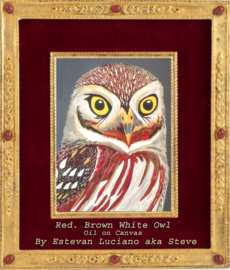 Read more about the article “Two Owls” Red, Brown, White Owls – Oil on Canvas by E. Luciano