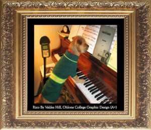 Read more about the article “RICO” by Valdez Hill, College of 26 Photos, 16×20