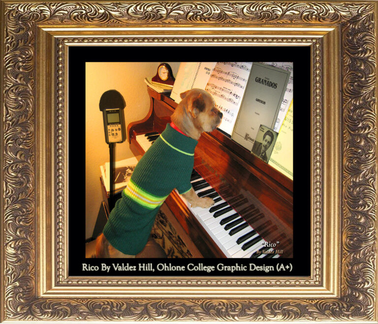 Read more about the article “RICO” by Valdez Hill, College of 26 Photos, 16×20