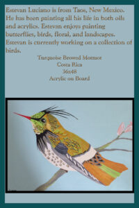 Read more about the article Turquoise Browed Motmot