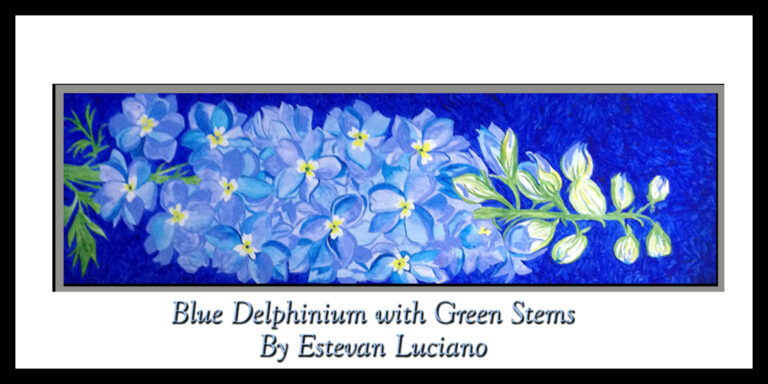 Read more about the article Blue Delphinium by Estevan Luciano- Commissioned