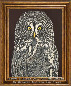 Read more about the article Brown & Black Owl by Estevan Luciano, Oil on Canvas