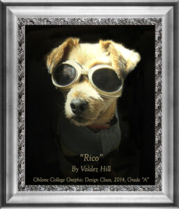 Read more about the article “RICO” by Valdez- Photography/Graphic Design- College Project, 2014