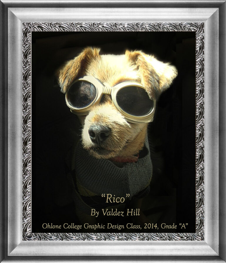 Read more about the article “RICO” by Valdez- Photography/Graphic Design- College Project, 2014