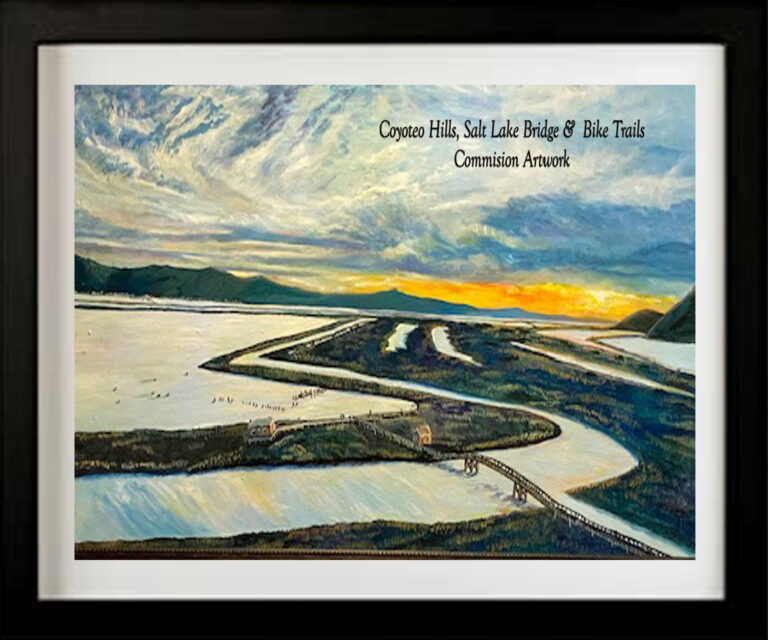 Read more about the article Cototeo Hills Bilke Trails