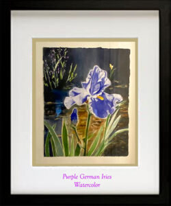 Read more about the article Purple Iris Watercolor