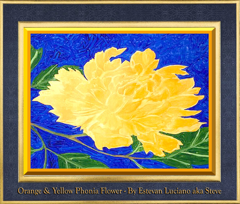Read more about the article Orange & Yellow Phonia Flower