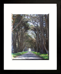 Read more about the article Tunnel Rd by Dennia Ariza- 24×36