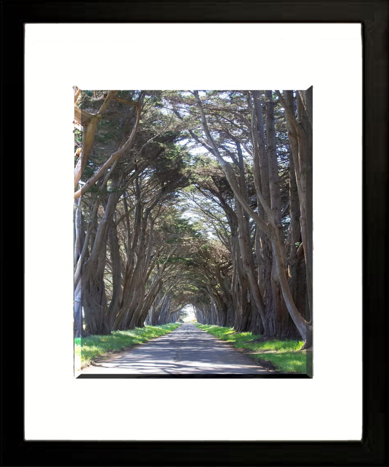 Read more about the article Tunnel Rd by Dennia Ariza- 24×36