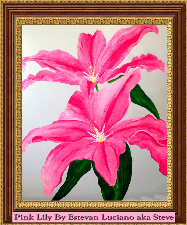 Read more about the article Pink Lily